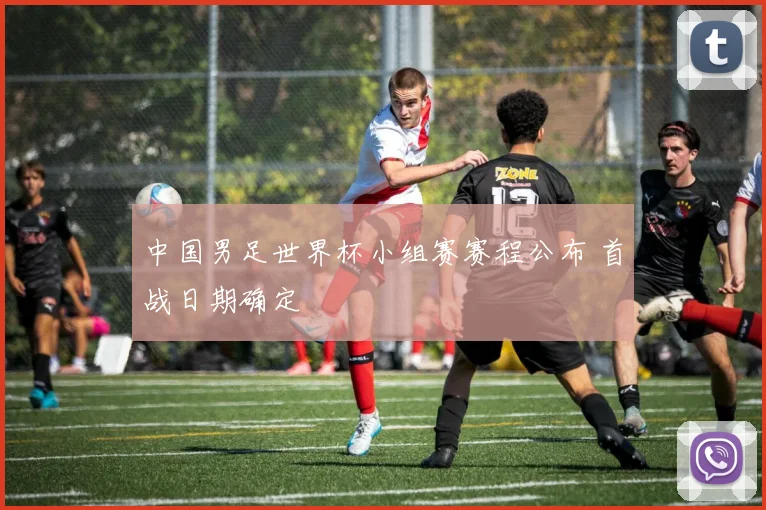 中国男足世界杯小组赛赛程公布 首战日期确定